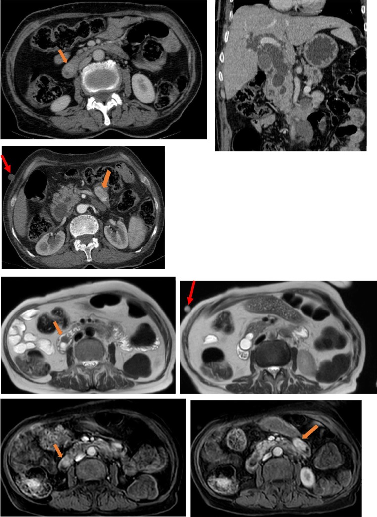 Fig. 5