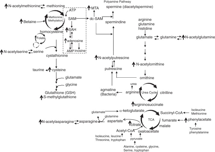 Fig. 10.