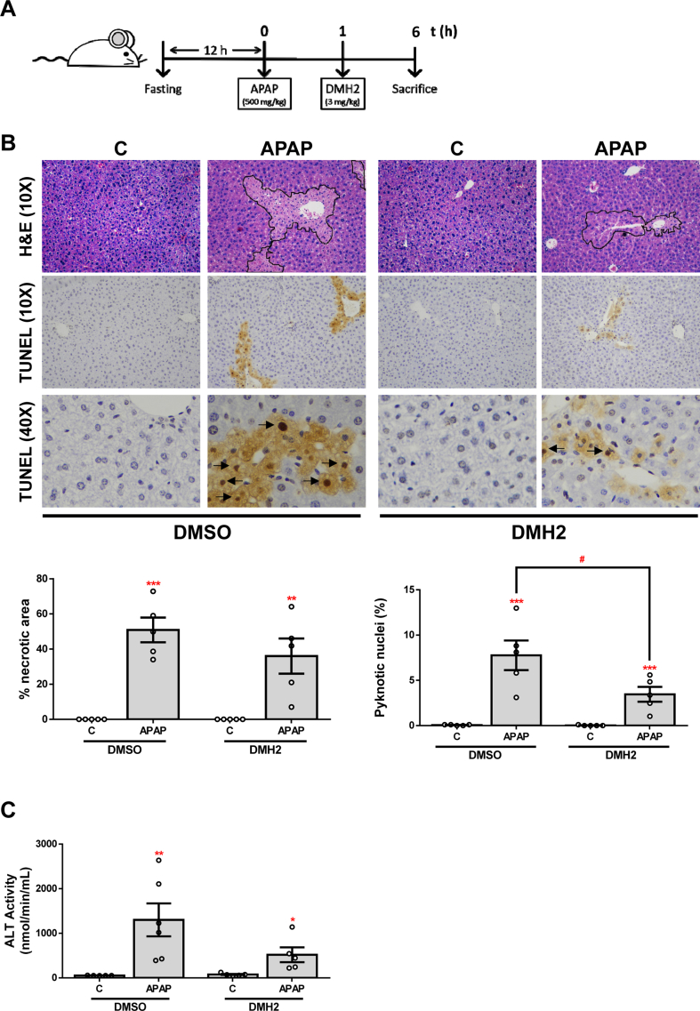 Supplementary Fig. 3