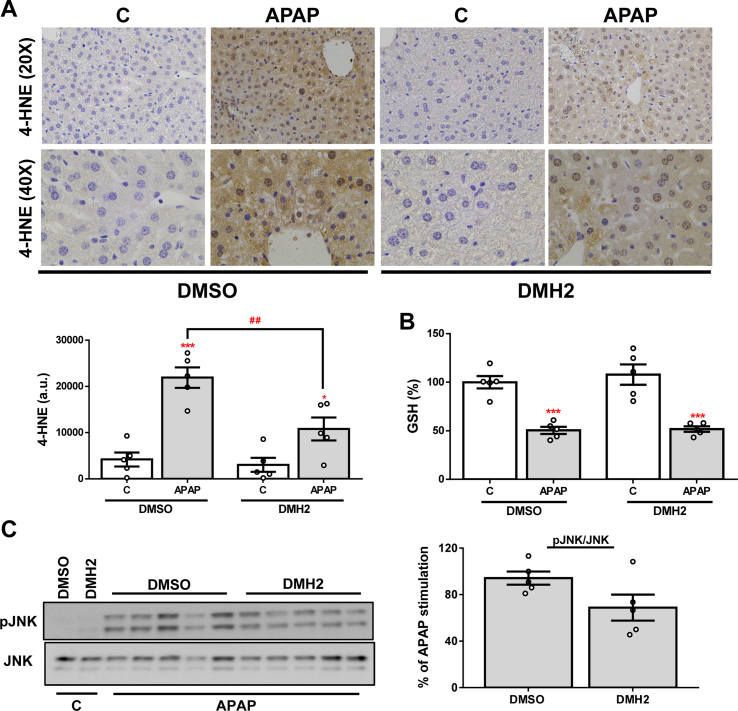 Supplementary Fig. 4