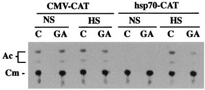 FIG. 8