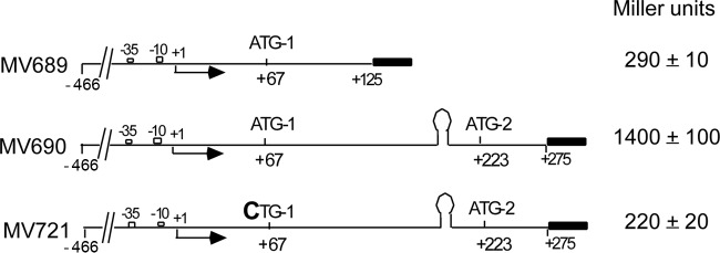 FIG 5