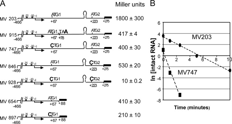 FIG 6