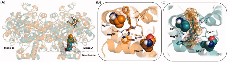 Figure 4.