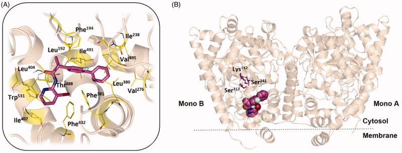 Figure 3.