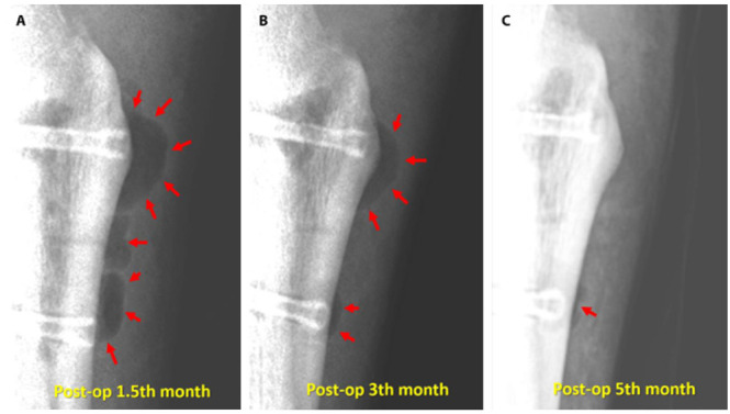 Figure 4.