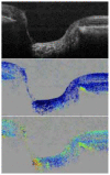 Fig. 6