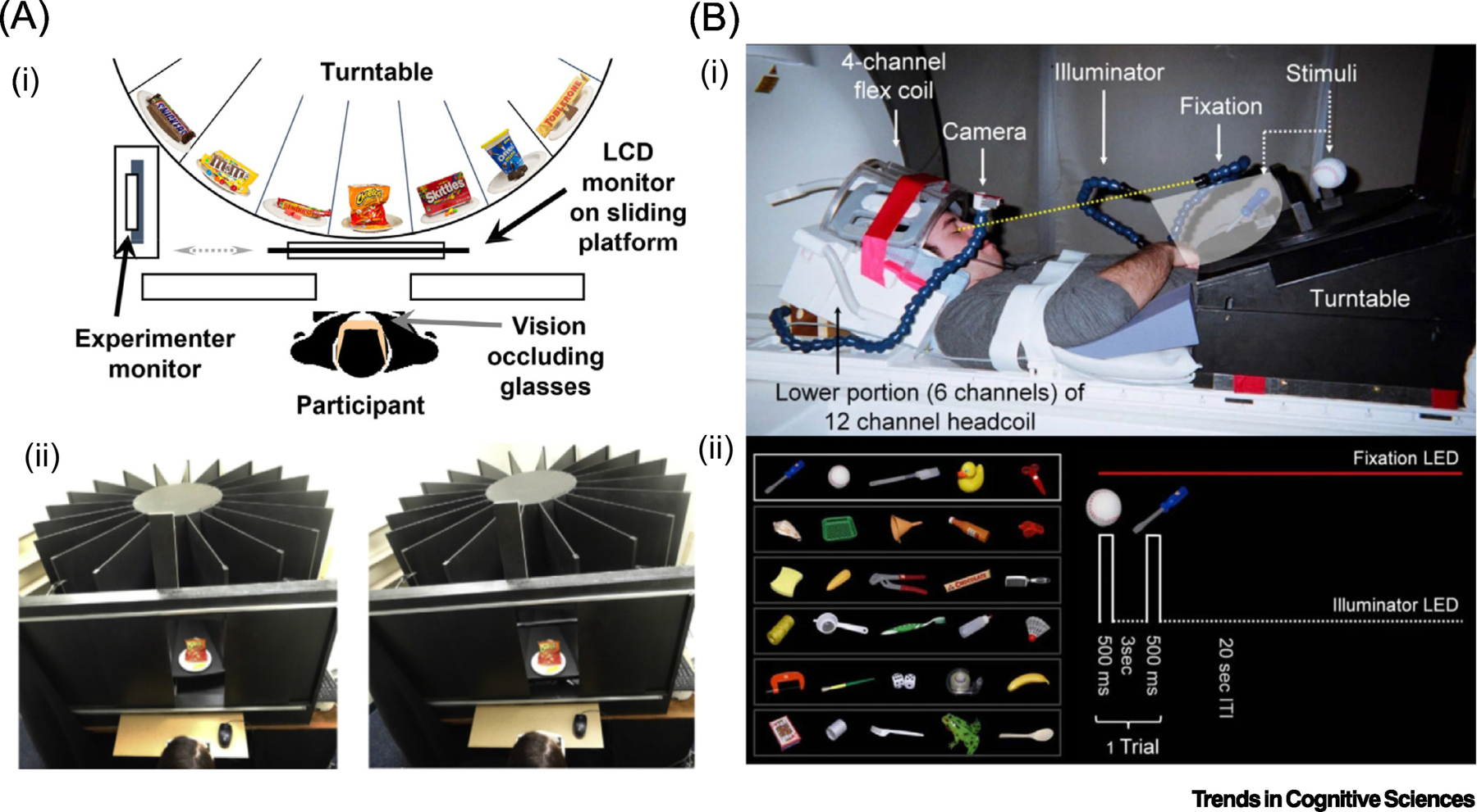 Figure 1: