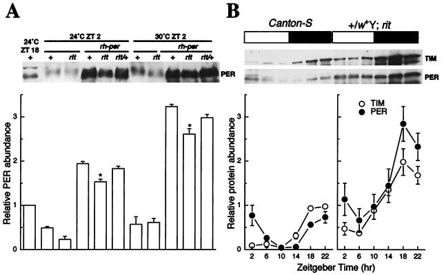 FIG. 6