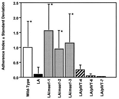 FIG. 5.