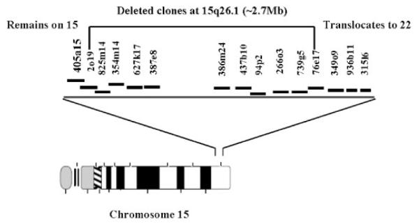 Fig. 3