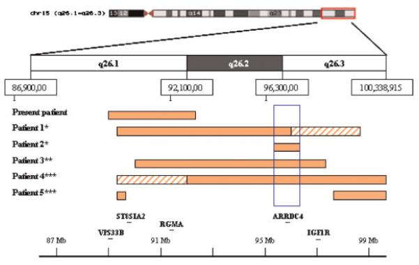 Fig. 6