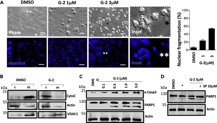 Figure 4