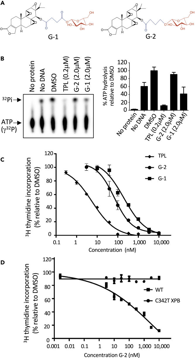 Figure 1