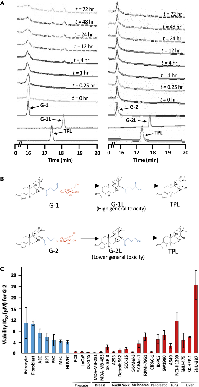 Figure 2