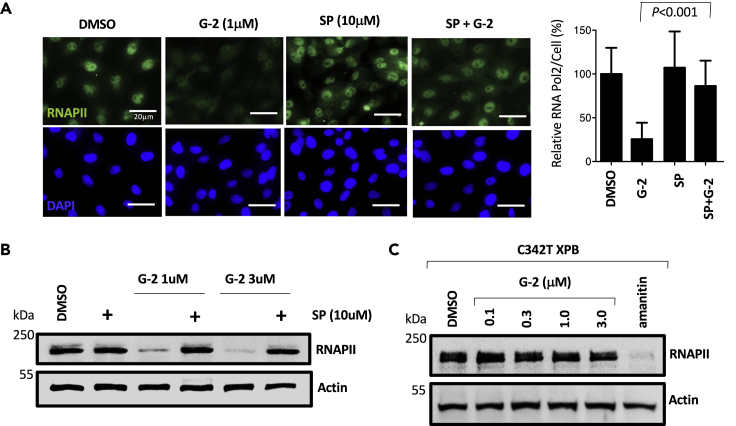 Figure 3