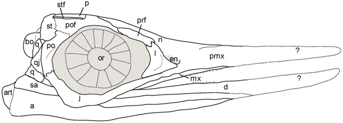 Figure 14