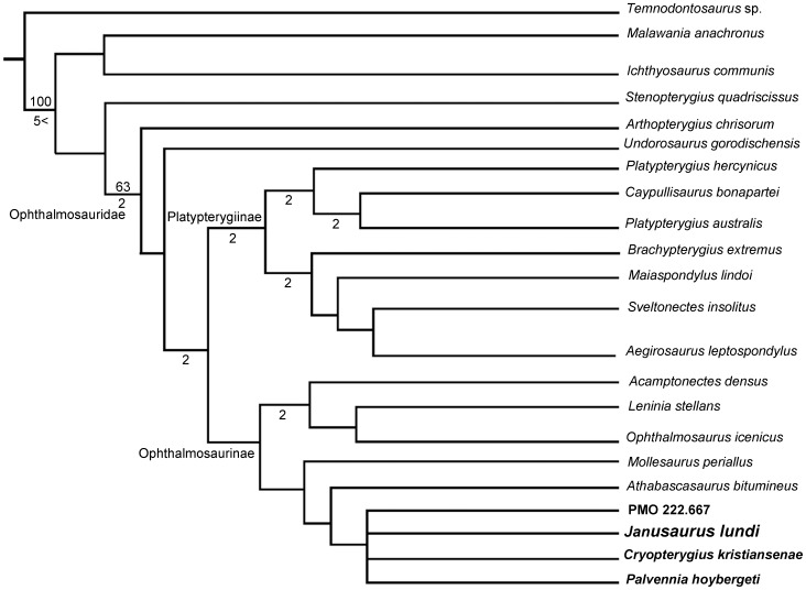 Figure 15