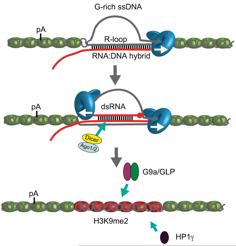 ED Figure 10