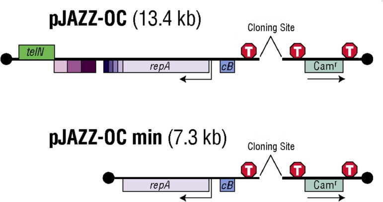 Fig 4