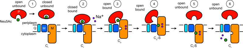 Fig. 7