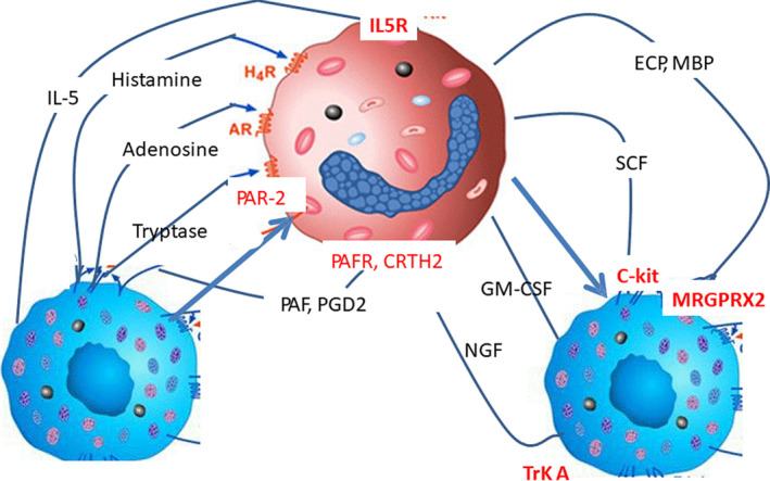 FIGURE 2