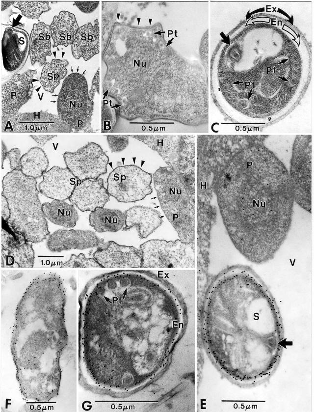 FIG.6.