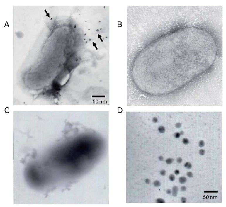 Figure 10