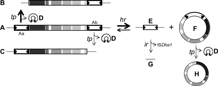 Fig 5