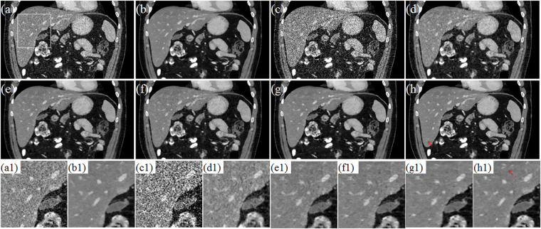 Figure 13