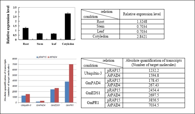 Figure 2.