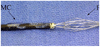 Fig. 10