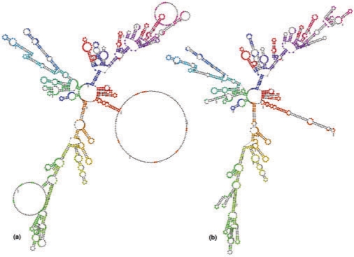 Fig. 6.