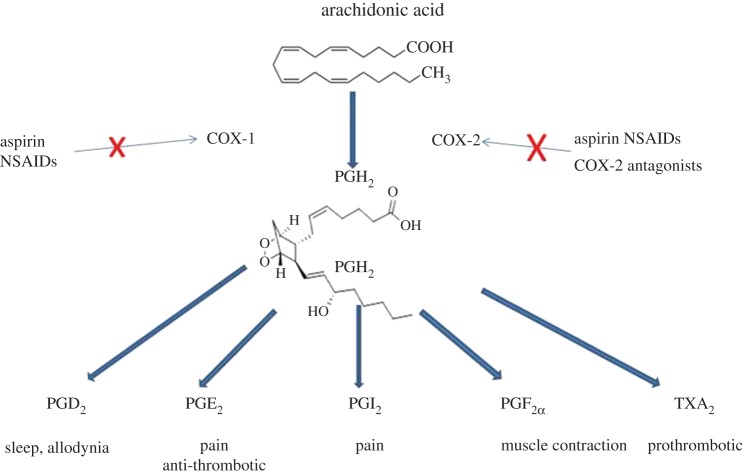 Figure 3.