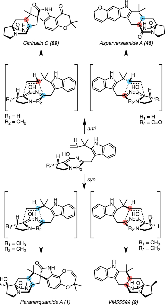 Figure 11.