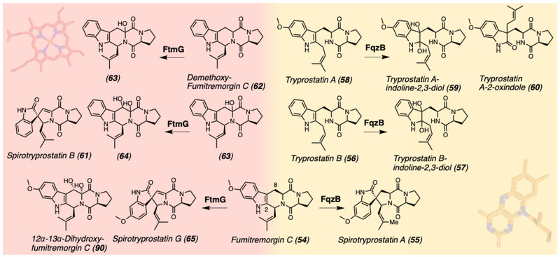 Figure 14.