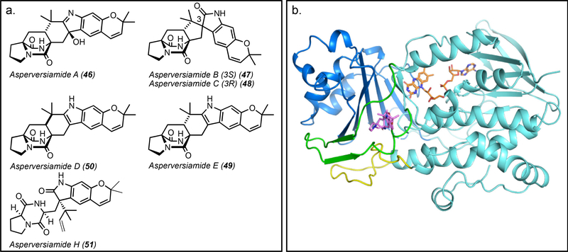 Figure 12.