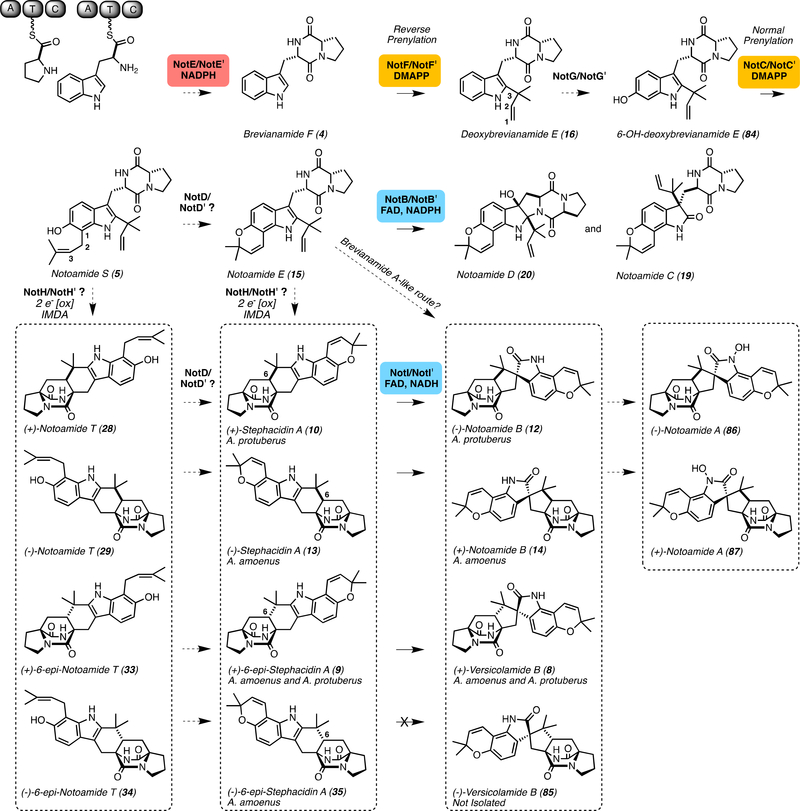 Figure 3.