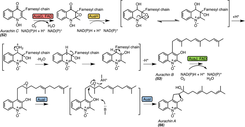 Figure 13.