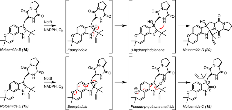 Figure 9.