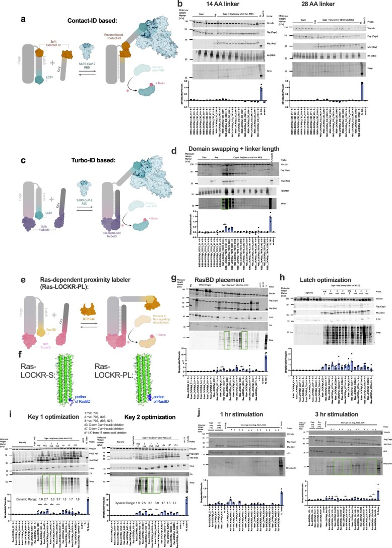 Extended Data Fig. 3