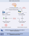 Graphical Abstract