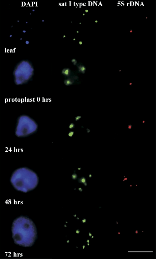 Fig. 3.