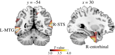 Figure 1.