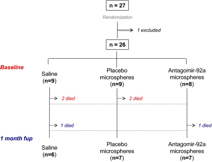 Figure 10.