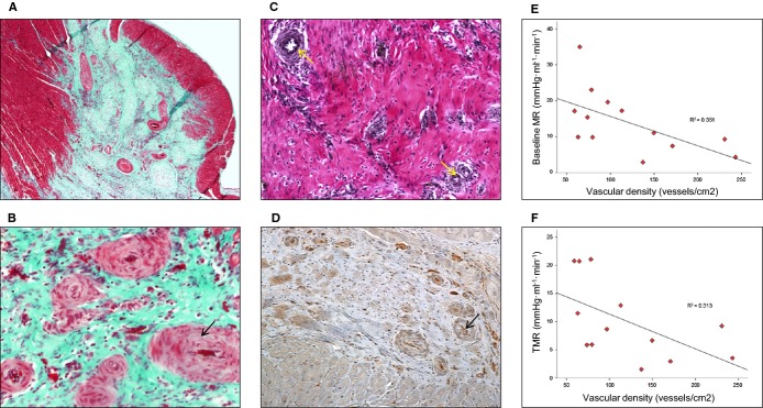 Figure 12.