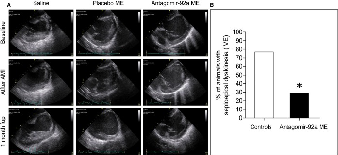 Figure 13.