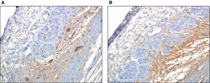 Figure 16.