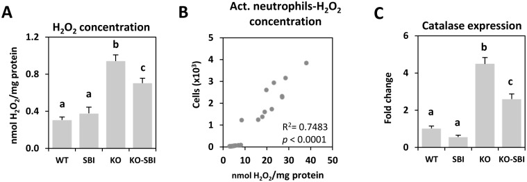 Fig 5