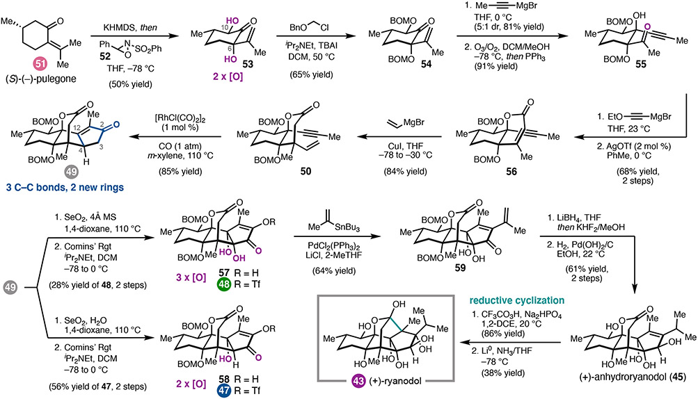 Scheme 5.